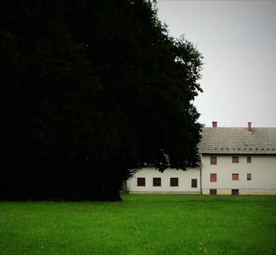 Fotografija