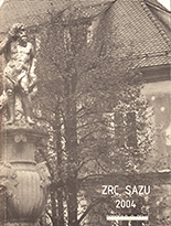 Poročilo za 2004